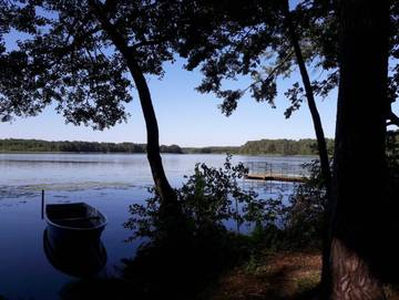 Ferienhaus für 6 Personen in Wendisch Rietz, Region Oder - Spree, Bild 3