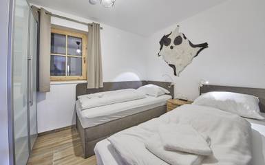 Vakantieappartement voor 8 Personen in Saalbach, Kitzbüheler Alpen, Afbeelding 3