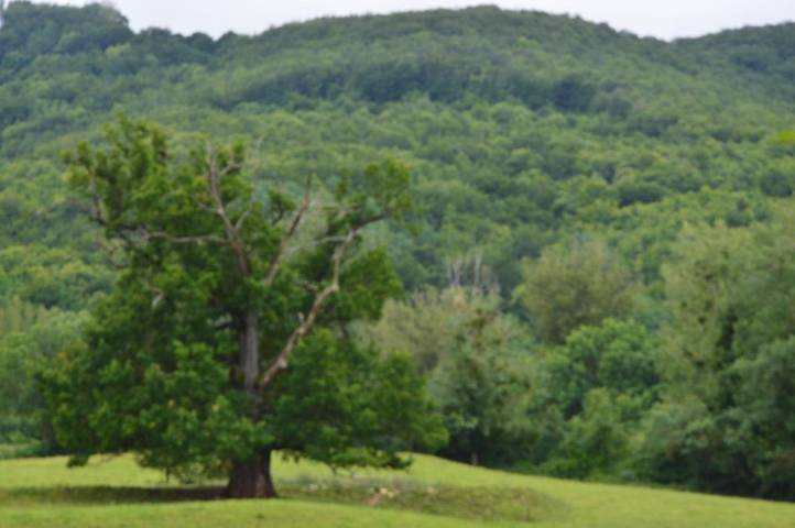 Location de vacances pour 4 personnes à Sévérac-l'Église - 2