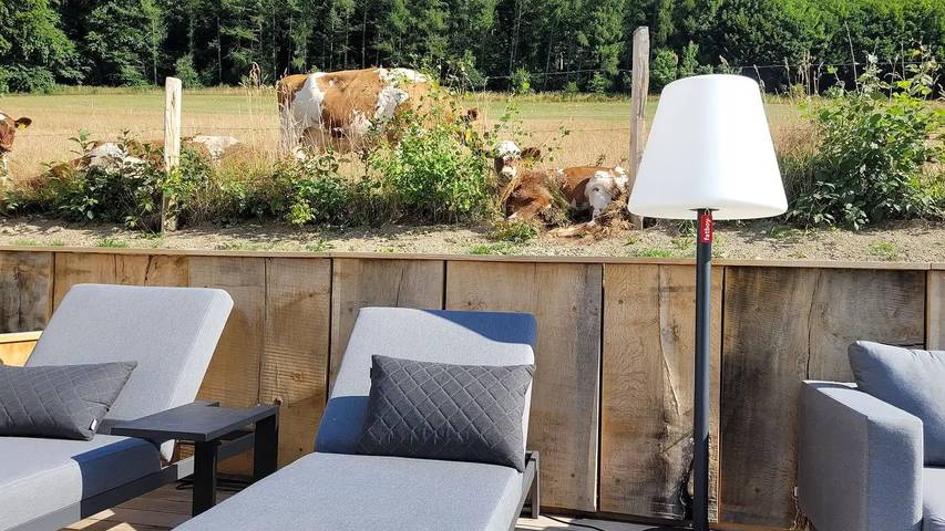 Chalet für 8 Personen, mit Garten und Sauna sowie Terrasse, mit Haustier in Schmallenberg - 2