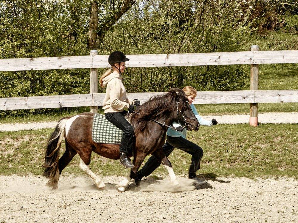 Gut Oestergaard - Kutscherhaus Iii in Steinberg, Schleswig-Flensburg