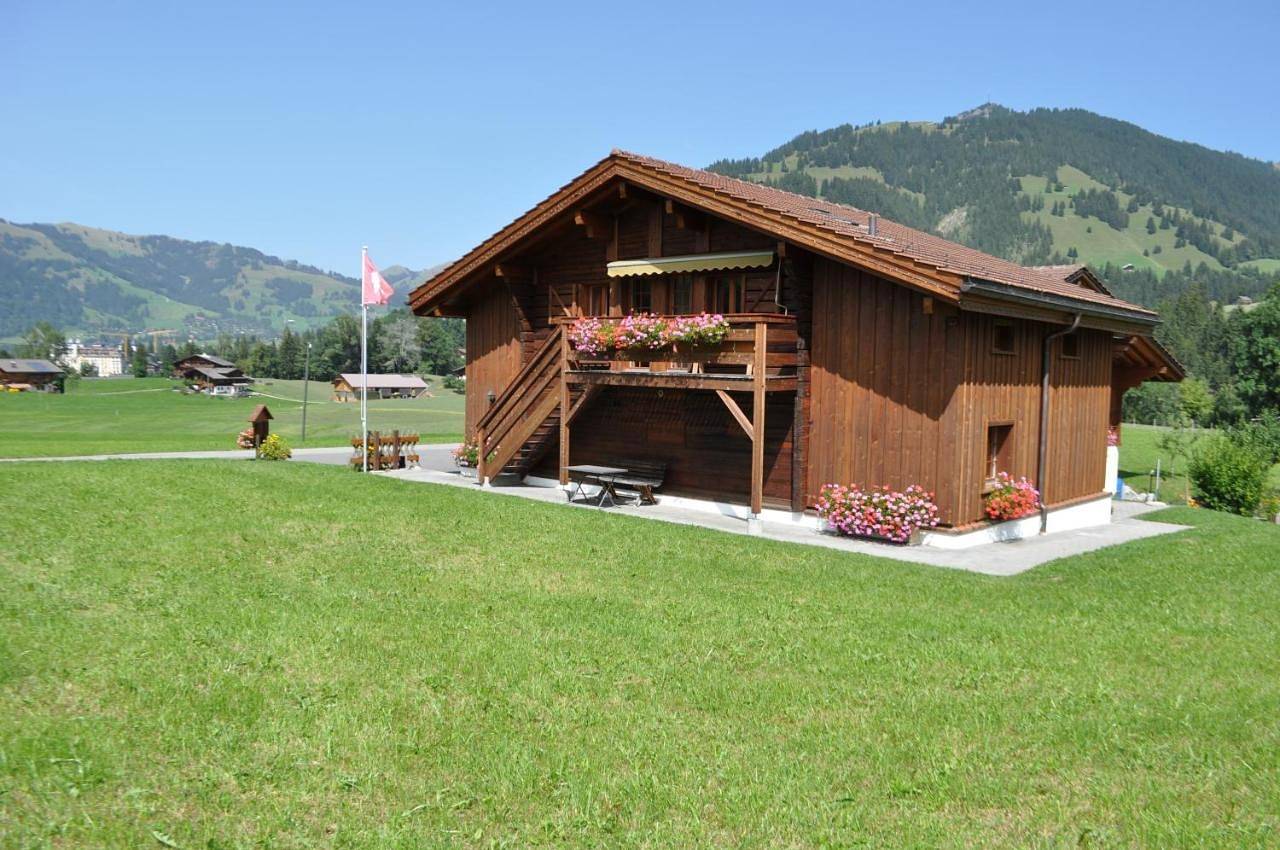 Ganze Wohnung, Alpenchalet Weidhaus Gstaad - verschiedene Wohneinheiten in Gstaad, Saanen