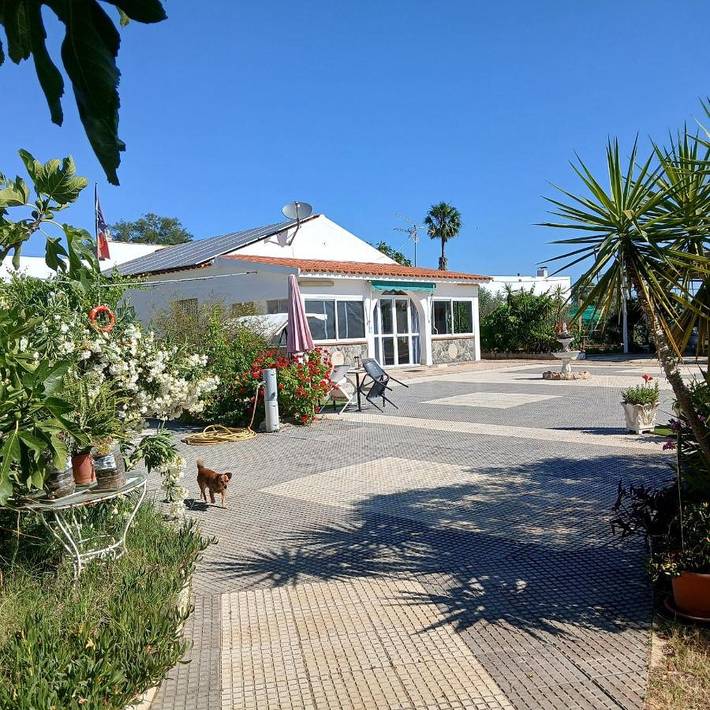 Casa rural para 6 personas, con Terraza y Jardín además de Piscina y Vistas en Moguer - 2