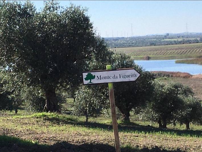 Location de vacances pour 8 personnes, avec piscine et jardin ainsi que vue et vue sur le lac à Moura - 2