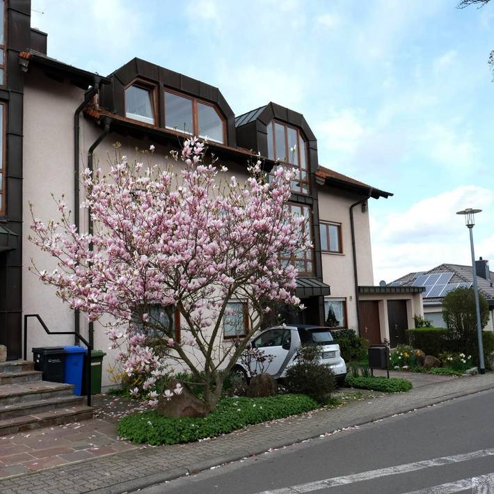 Ferienwohnung für 2 Personen, mit Balkon und Terrasse in Wachenheim
