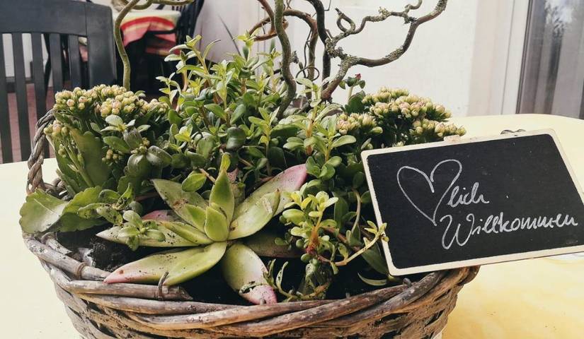 Ferienwohnung für 5 Personen, mit Seeblick und Garten sowie Ausblick, mit Haustier in Ummanz - 3