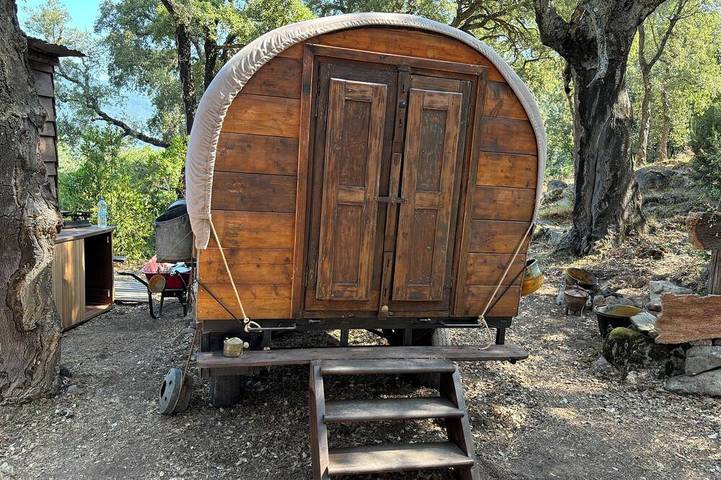 An Unusual Pioneer Cart in the Heart of the Corsican Maquis in Carbuccia, Regionaler Naturpark Korsika