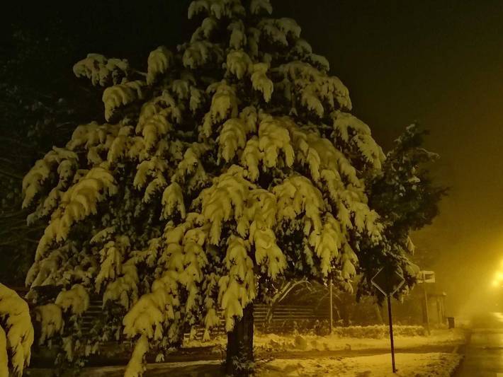 Ferienwohnung für 4 Personen, mit Terrasse und Pool im Harz - 4