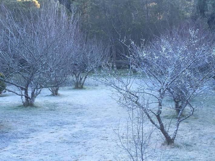 Location de vacances pour 2 personnes, avec jardin et vue dans Cité du Volcan - 3