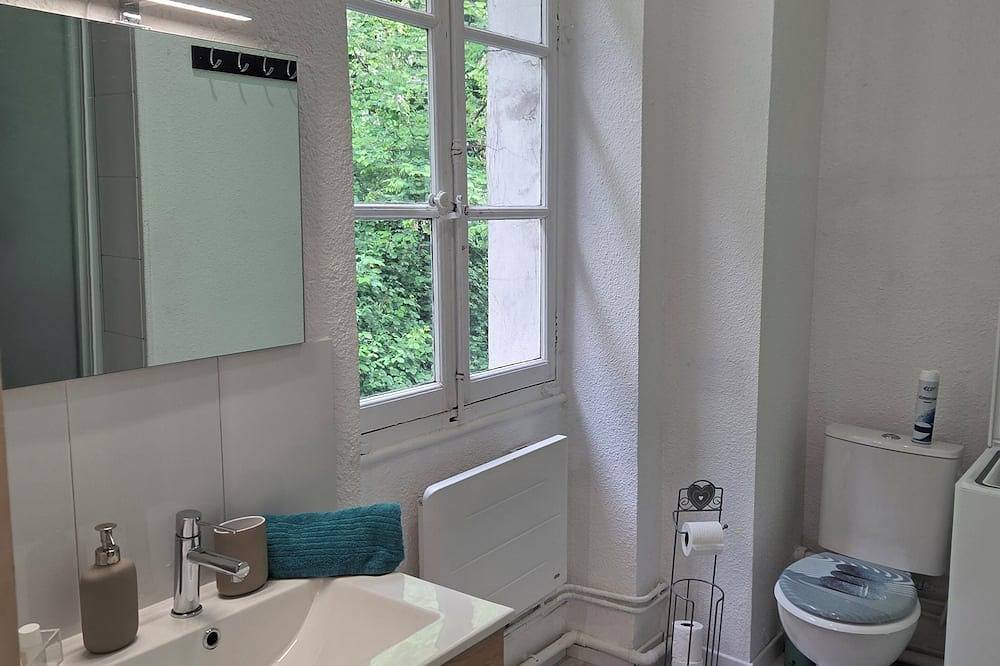 Ganze Wohnung, Charming studio in the heart of uriage in Saint-Martin-d'Uriage, Nationalpark Écrins
