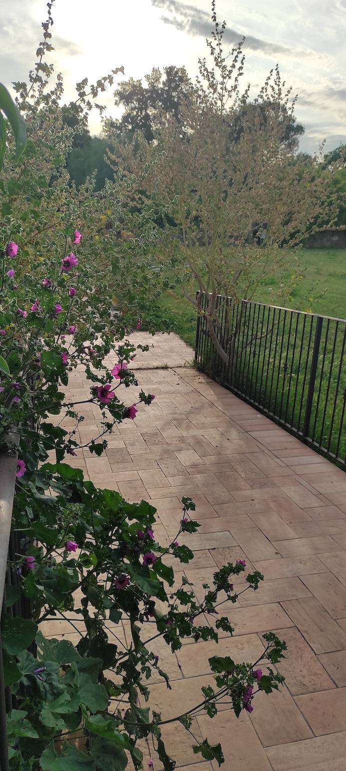 Chambre « Camera 1 - Campo Ruffaldo » avec piscine partagée, Wi-Fi et climatisation in Massa Marittima, Côte des Étrusques