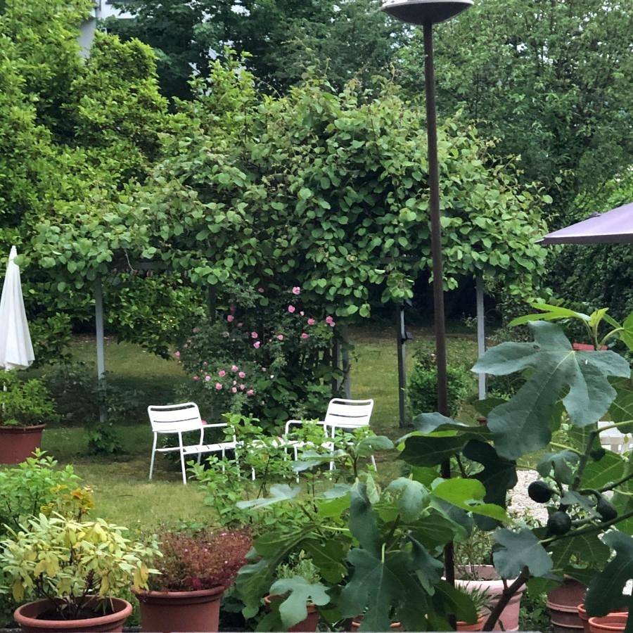 Villa zur Erholung Bed & Breakfast in Bad Breisig, Osteifel