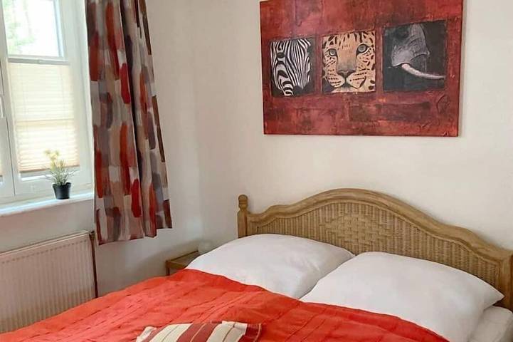 Ferienpark für 4 Personen, mit Terrasse in Zingst - 3