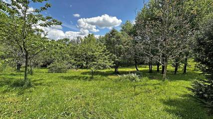 Gîte pour 4 Personnes dans Château-Chervix, Nouvelle-Aquitaine, Photo 4