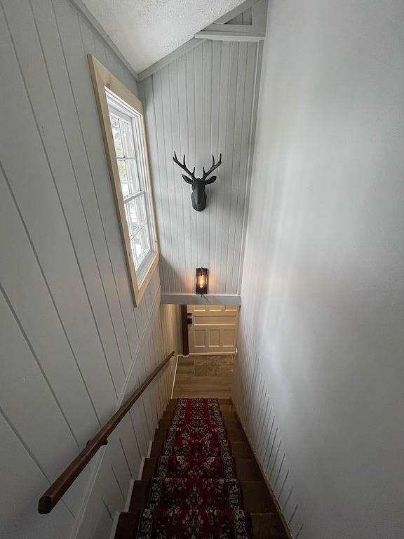 Lake View Cottage - Private Dock and Fire Pit in Hickory Run State Park