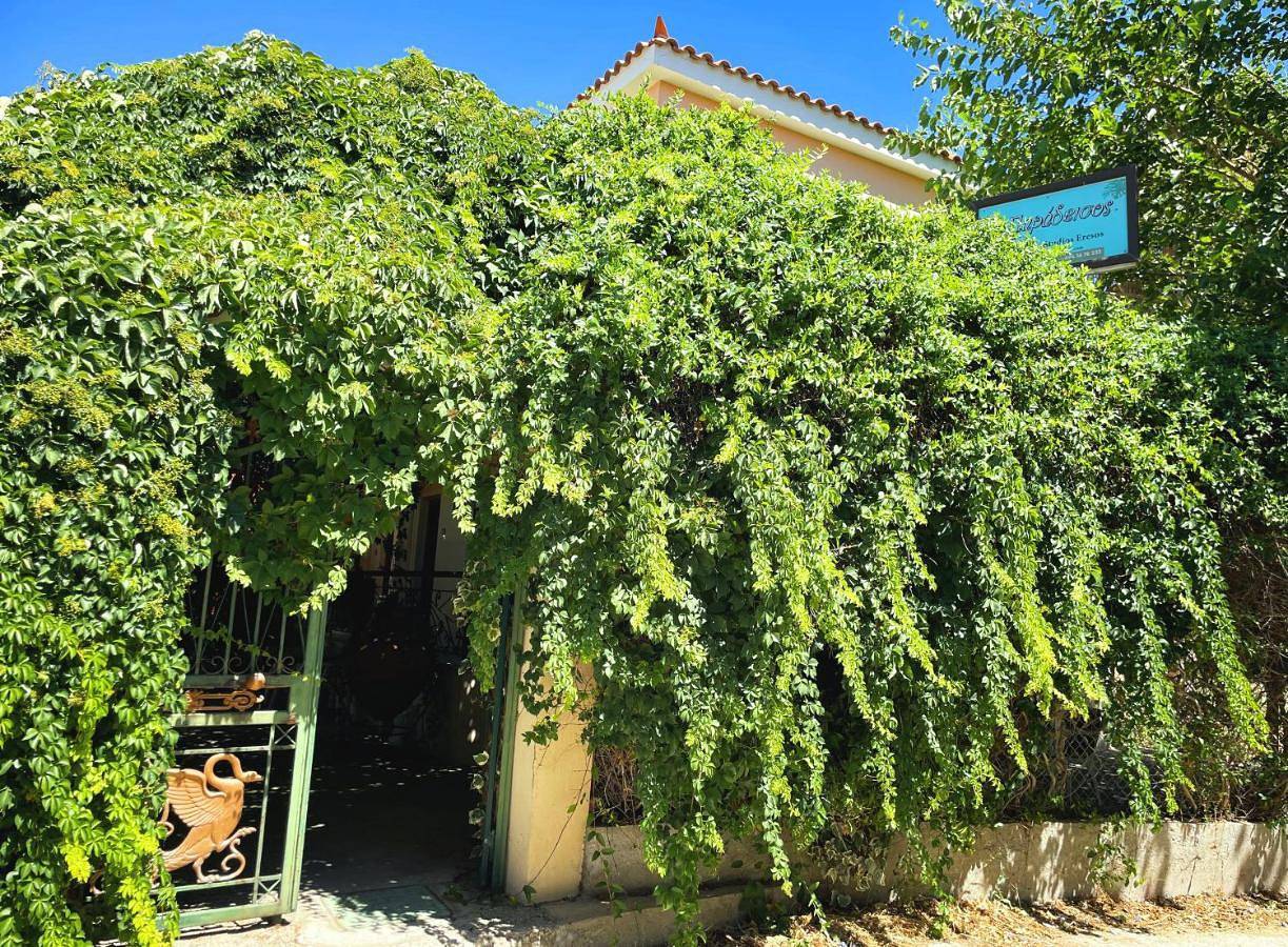 Appartement entier, Skala Eresos Paradise Studios in North Aegean Islands