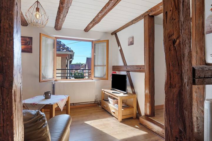 Appartamento intero, Gîtes les cigogneaux - Gîte Pinot in Beblenheim, Ribeauvillé e dintorni
