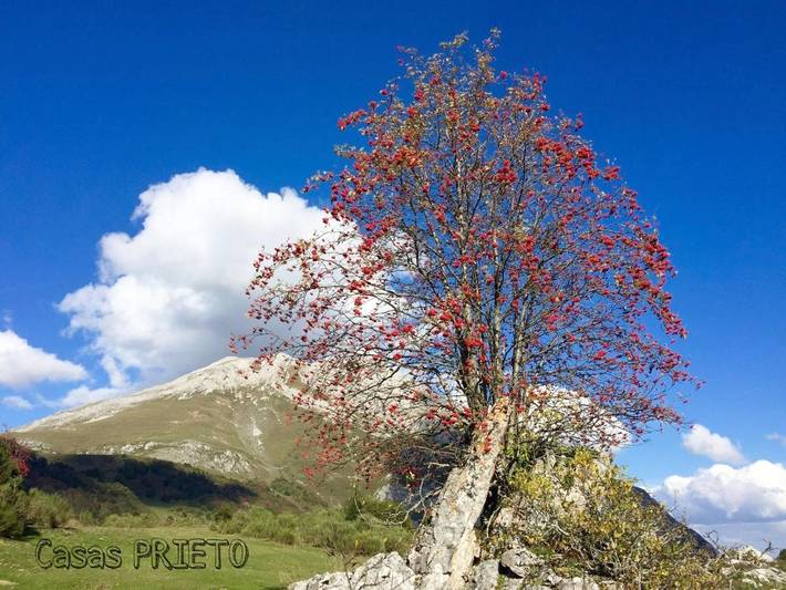 Casa rural para 12 personas, con jardín en Parque Natural de Las Ubiñas-La Mesa - 4
