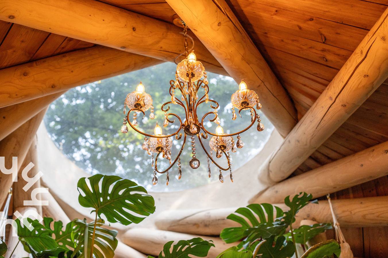 Einzigartiges Ferienhaus für 5 Personen im Wald, in der Nähe des Dorfes Neede in Neede, Achterhoek