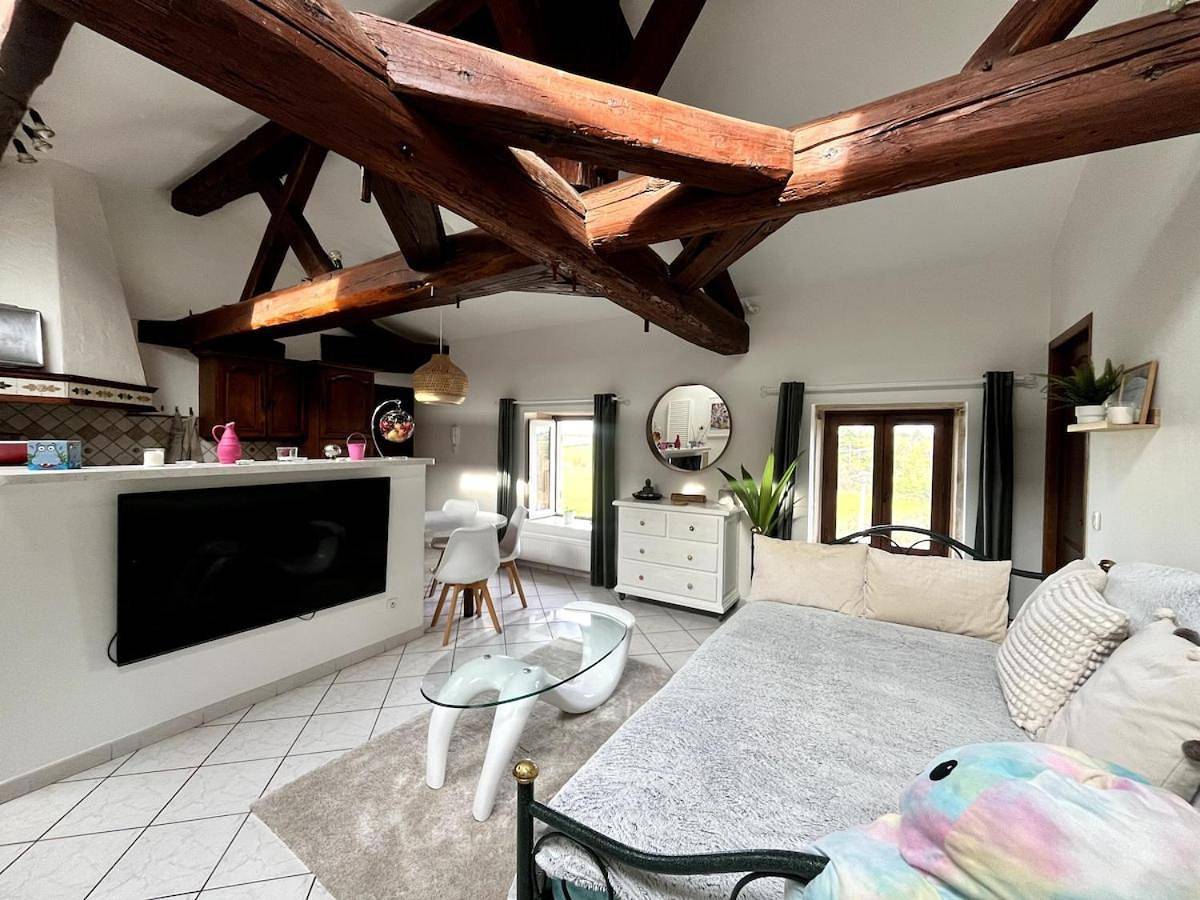 Appartement entier, One-Bedroom Apartment with Garden View in Chaponost, Lyon et ses environs