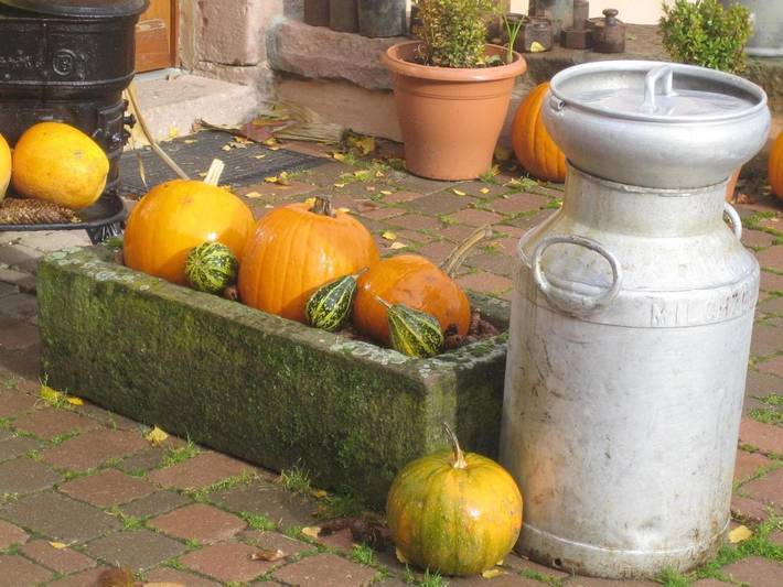 Location de vacances pour 3 personnes, avec vue et jardin, animaux acceptés à Sainte-Marie-aux-Mines - 2