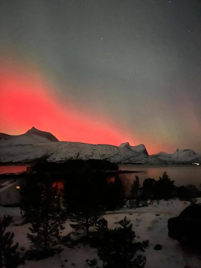 Efjord and Stetind Resort - Cabin Ocean in Ballangen 