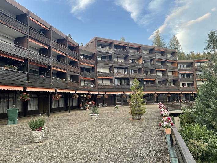 Gîte pour 5 personnes, avec Balcon/Terrasse et Balcon ainsi que Piscine et Sauna dans Schonach (Ville)