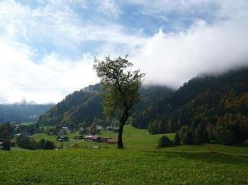 Hütte für 4 Personen in Tiefenbach (Oberstdorf), Oberstdorf, Bild 4