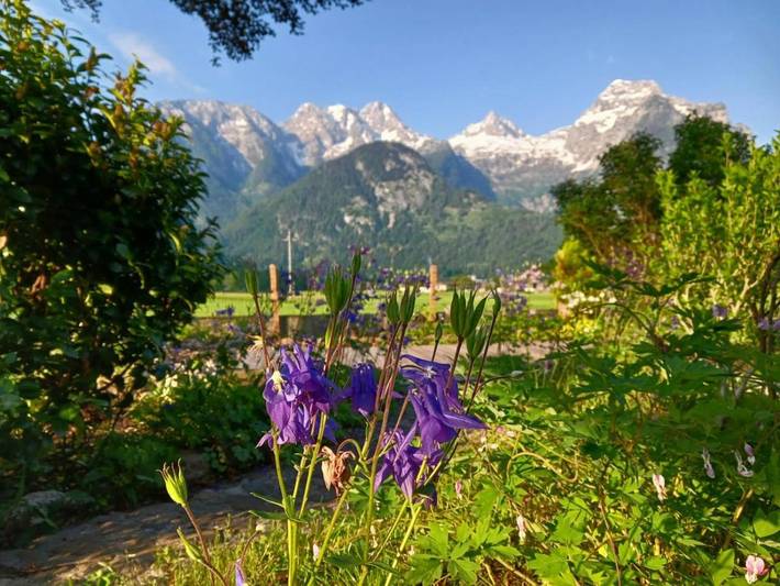 Ferienwohnung für 4 Personen, mit Ausblick und Garten sowie Terrasse, mit Haustier in Lofer - 2