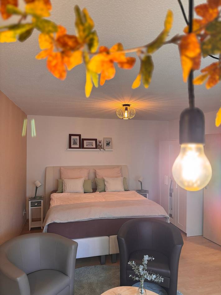 Ganzes Studio, Studio 'Komfort-Apartment mit Terrasse' mit privater Terrasse und Wlan in Estenfeld, Romantische Straße