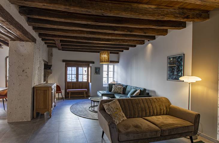 Gîte pour 12 personnes, avec sauna et terrasse à Saint-Dyé-sur-Loire - 3