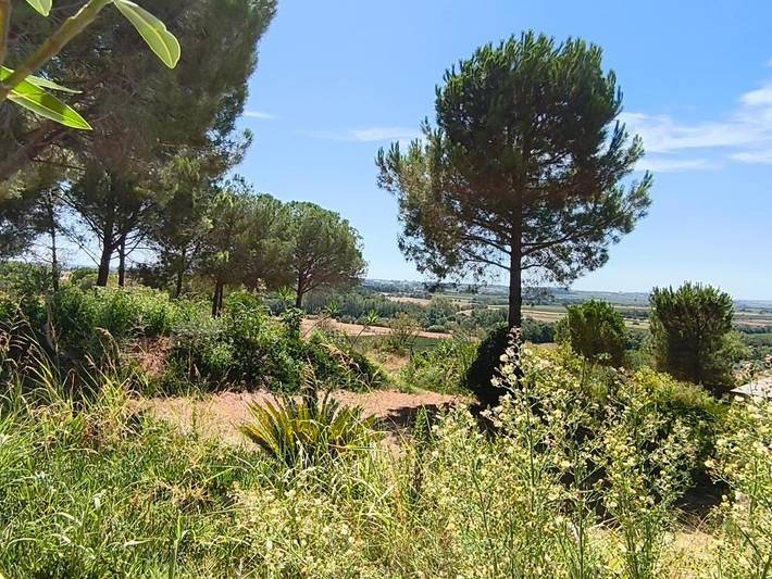 Location de vacances pour 6 personnes, avec vue ainsi que jardin et piscine, animaux acceptés à Maraussan - 2