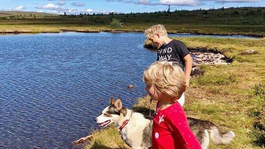 Ferienhaus für 5 Personen in Malung-Sälen und Umgebung - 3