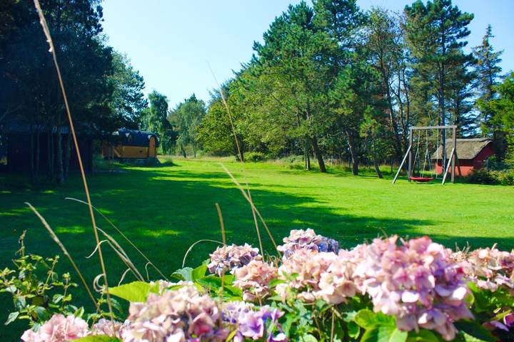 Ferienhaus für 4 Personen, mit Sauna und Garten in Utersum - 3