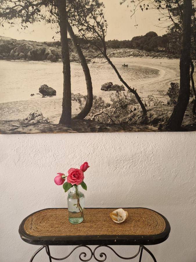 Gîte pour 3 personnes, avec terrasse, animaux acceptés à Bellcaire d'Empordà - 3