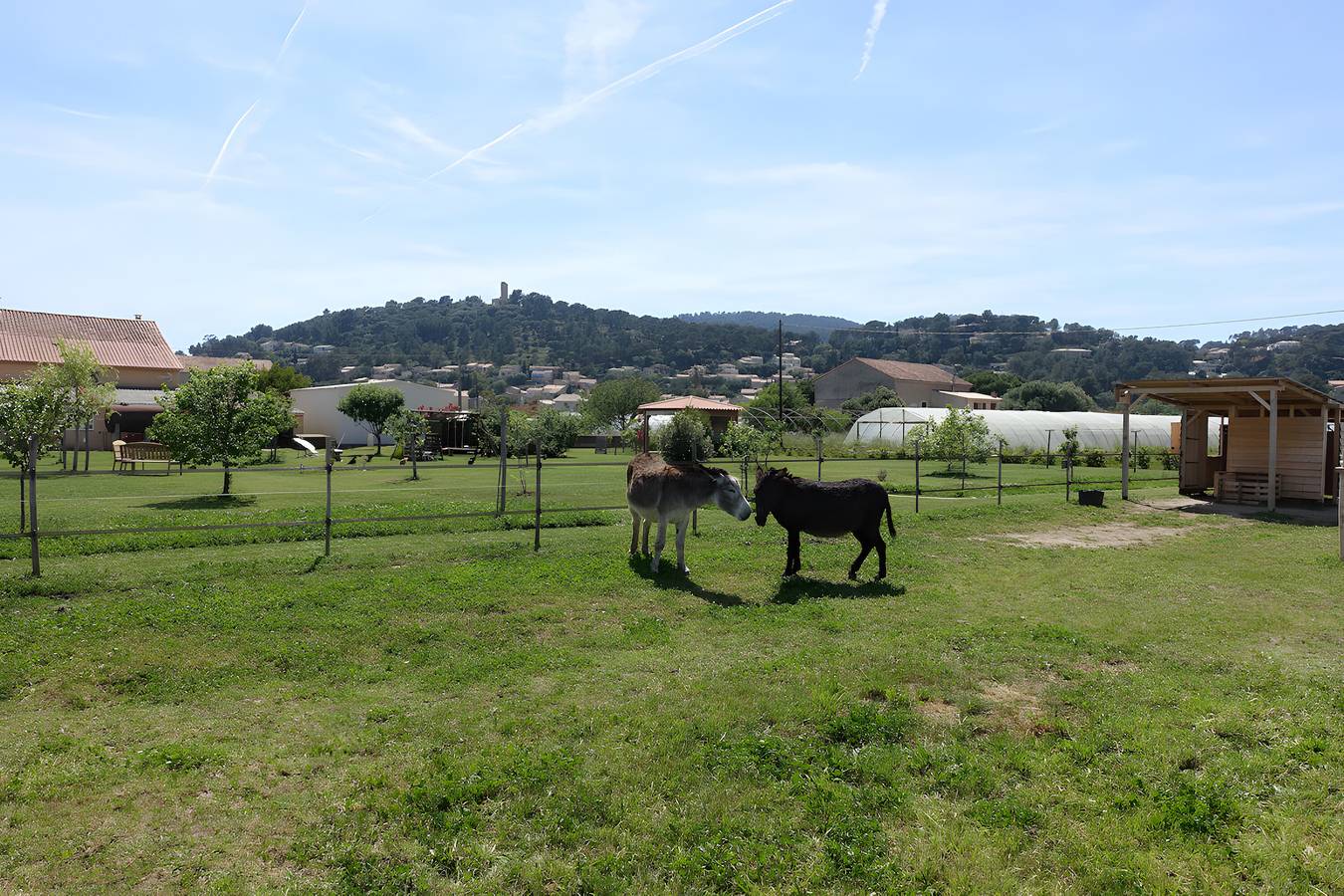 Bed and Breakfast for 2 people in Hyeres, Toulon region