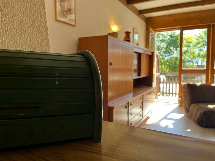 Gîte pour 4 personnes, avec balcon dans Pra-Loup (station de ski) - 3