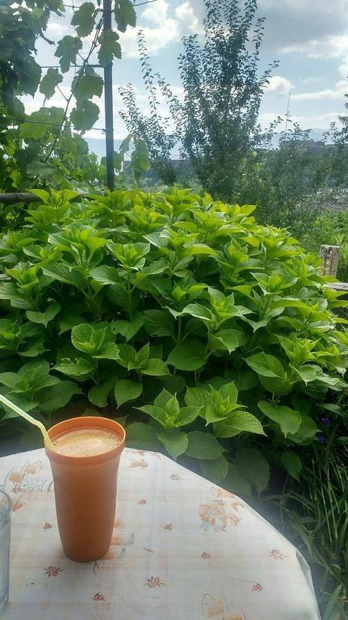 Maison d’hôte pour 2 personnes, avec vue et jardin, adapté aux familles dans Gjirokastër - 2