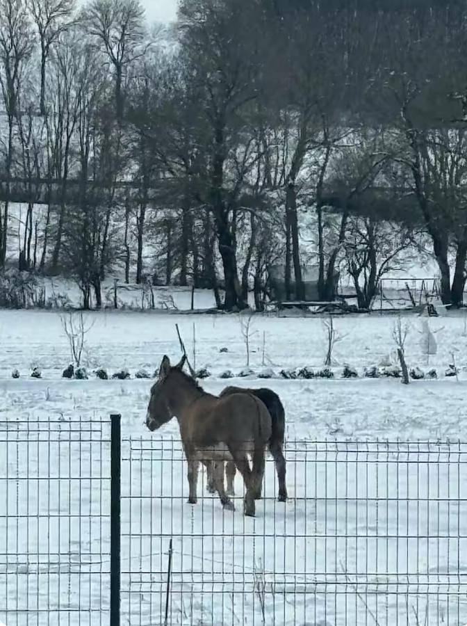 Gîte pour 5 personnes, avec terrasse à La Cavalerie - 2