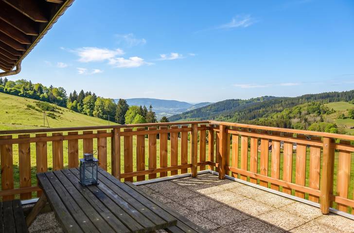 Chalet pour 18 personnes, avec Terrasse dans les Vosges
