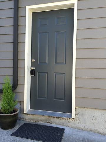 Apartment for 3 Guests in Seattle, Puget Sound, Picture 3