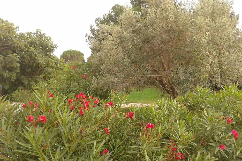 Gîte du Petit Mandon-Arles-Crau-Camargue: une maison pour 2/3 personnes in Arles, Côte méditerranéenne (France)