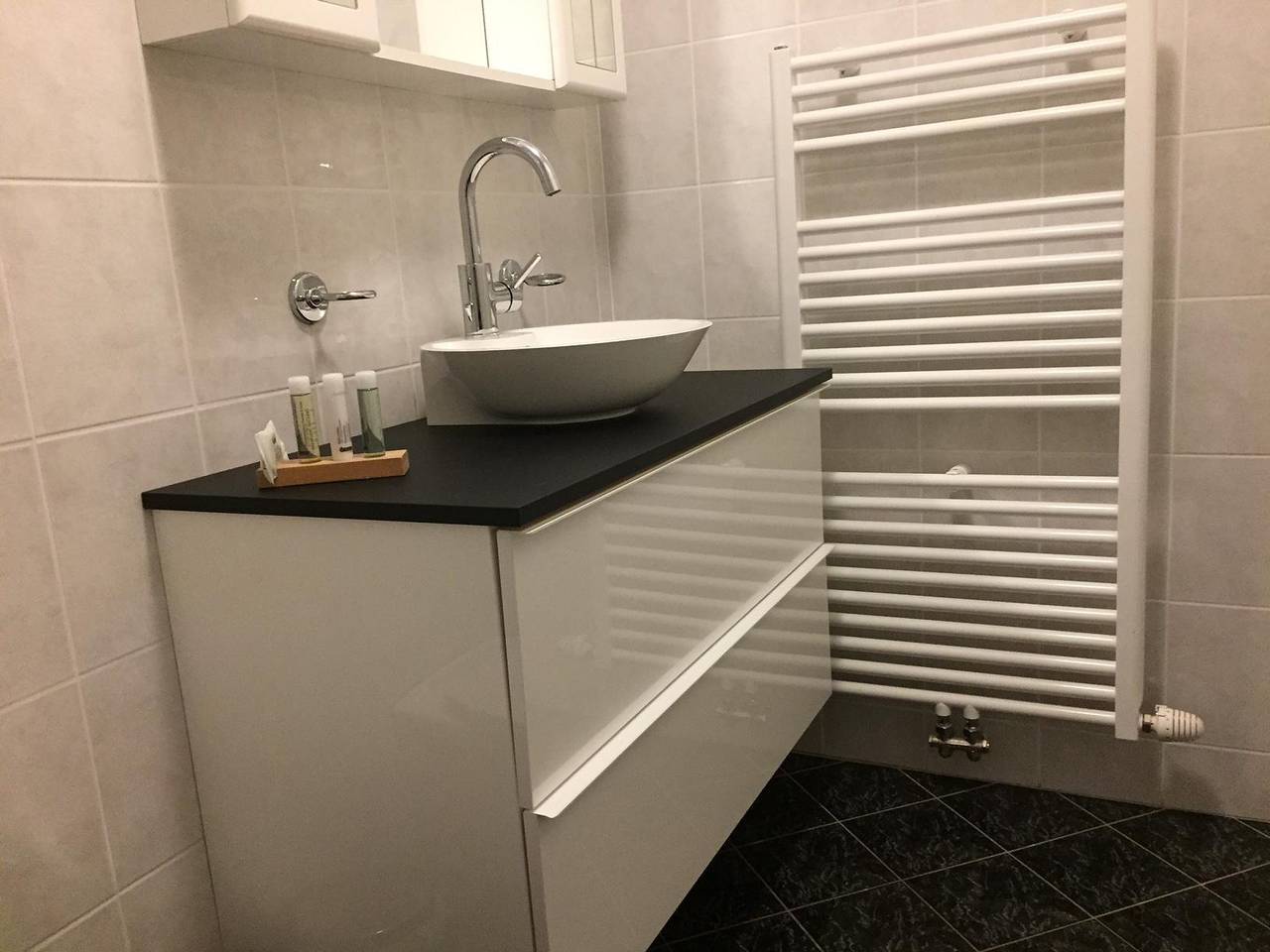 Ganze Ferienwohnung, Appartement am See 45m² in Steindorf am Ossiacher See, Oberkärnten