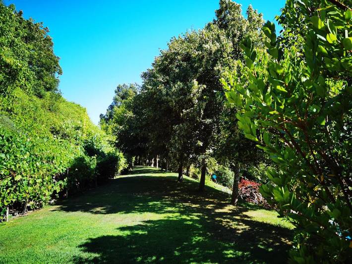 Aparthotel para 4 personas, con jardín y piscina, Se admiten mascotas en Alentejo - 4