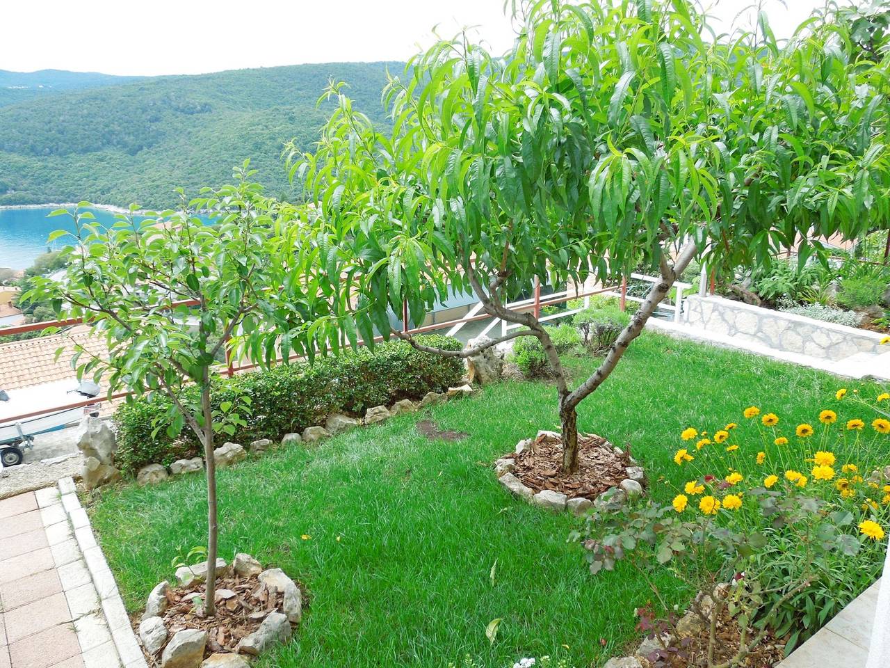 Apartamento entero, Apartments Elide in Rabac, Labin-Rabac