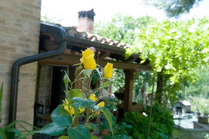 Casa vacanza per 6 persone, con giardino e panorama, con animali domestici - 1
