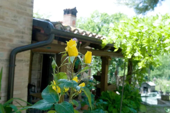 Casa vacanza per 6 persone, con panorama e giardino, con animali domestici - 1