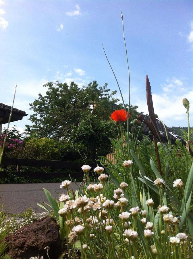 Villa für 8 Personen, mit Ausblick und Garten in Traben-Trarbach - 4