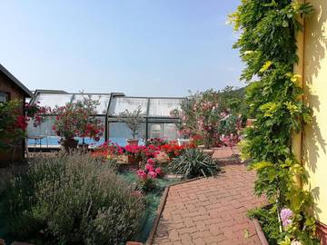Chambre d’hôte pour 2 personnes, avec piscine et jardin, animaux acceptés à Mittelbergheim