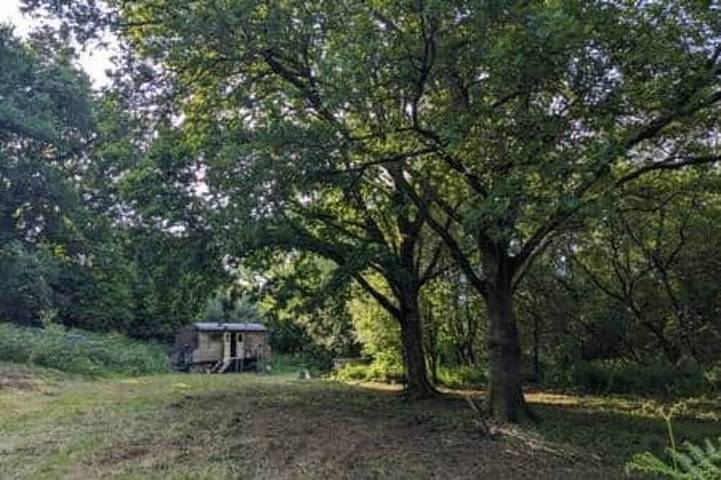 Glamping for 2 people in Dartmoor
